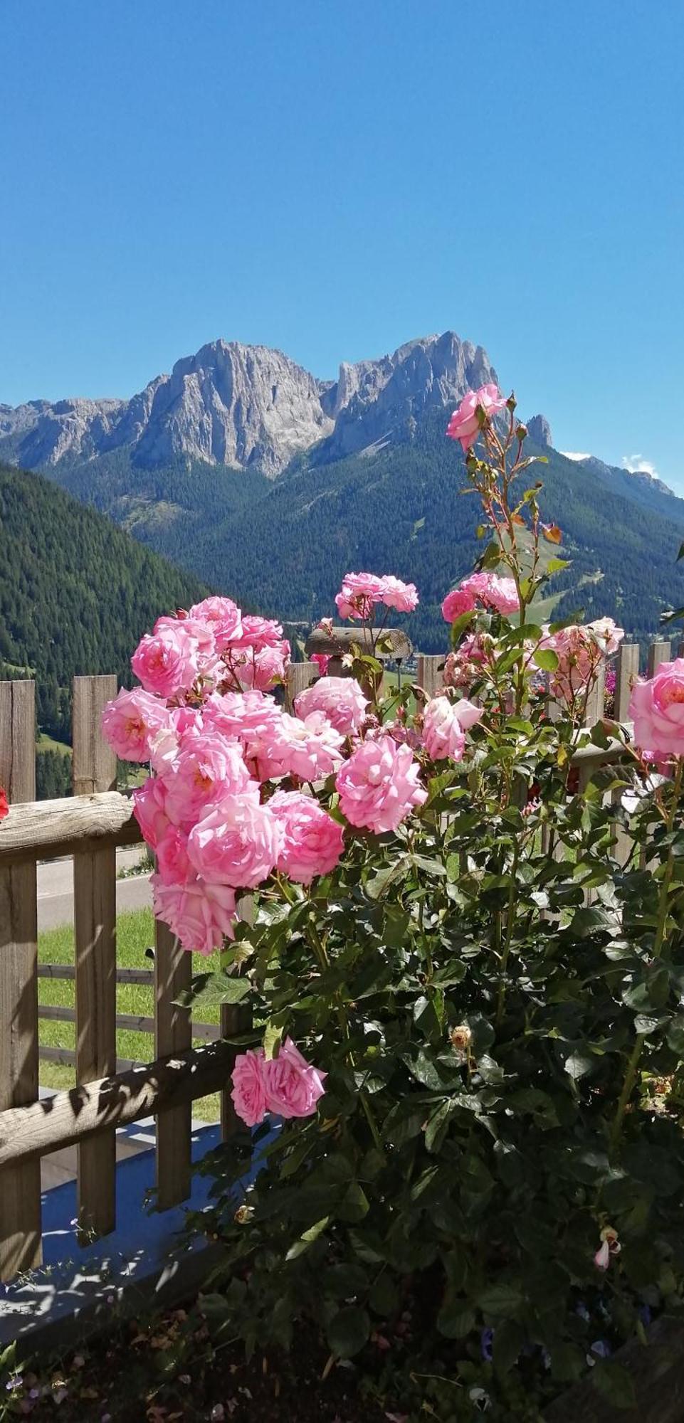 Villetta Muncion Pozza di Fassa Exterior photo